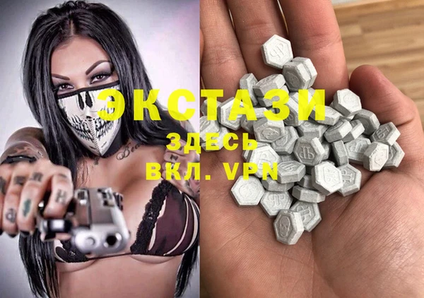 хмурый Каменка
