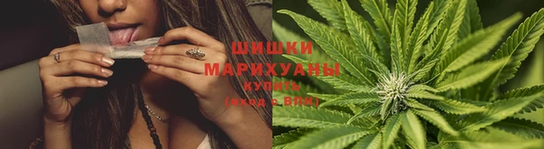 хмурый Каменка