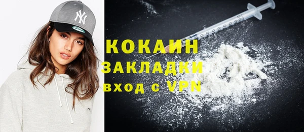 хмурый Каменка