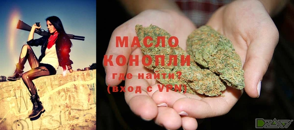 хмурый Каменка