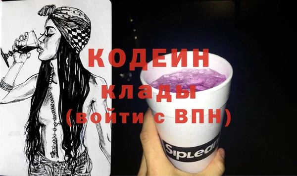 хмурый Каменка