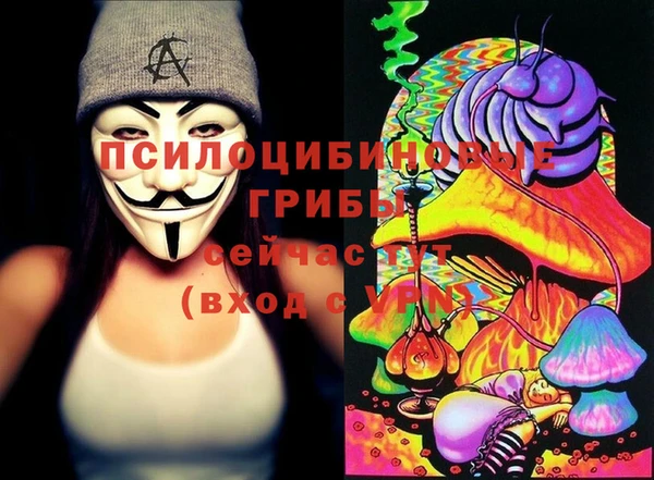 гидра Каменск-Шахтинский