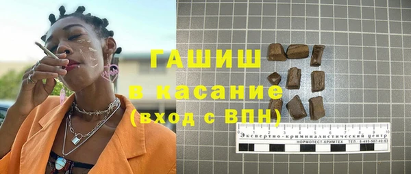 хмурый Каменка