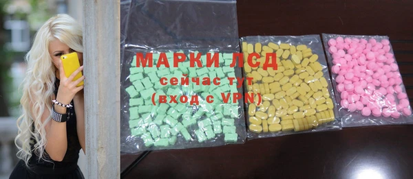 хмурый Каменка