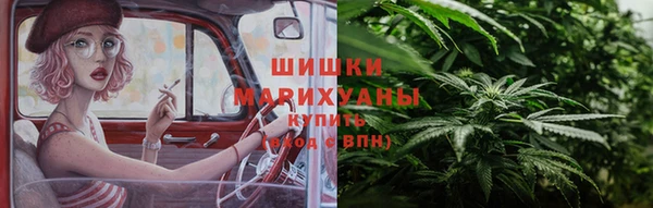 хмурый Каменка