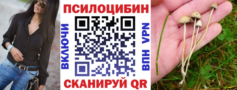 Купить закладки  Лакинск  Галлюциногенные грибы прущие грибы 
